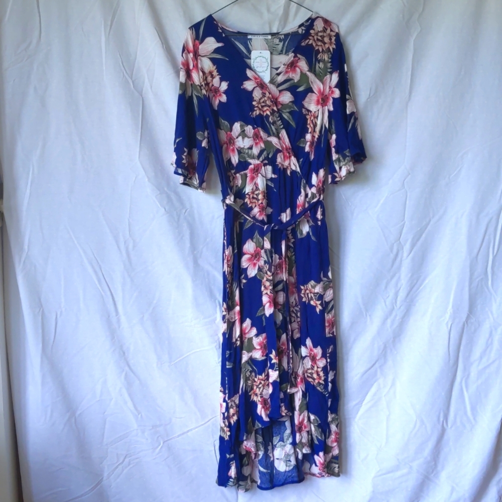 NWT Chris & Carol Navy & Pink Floral Maxi Dress